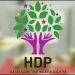 hdp urfa milletvekil 5e37735b7c8ded9aa8a8