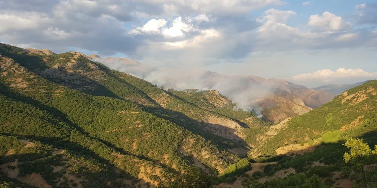 dersim orman yangini 1