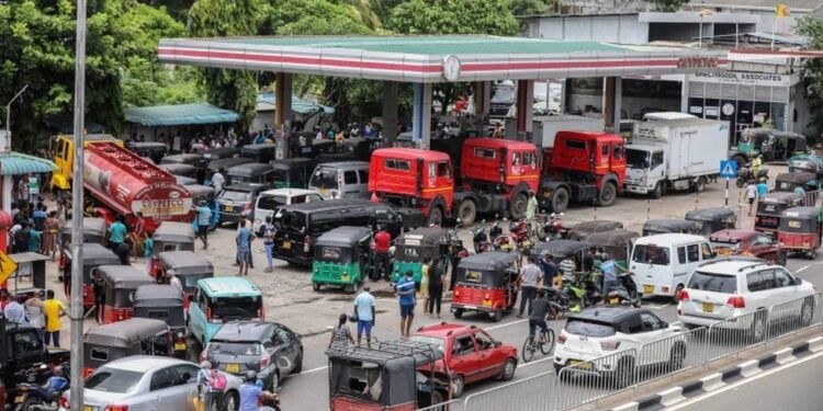 sri lankan