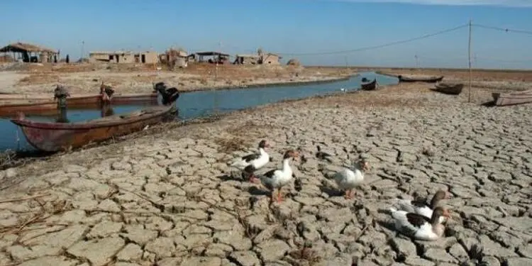 Barajlar Dicle ve Firat nehirlerini kuruttu