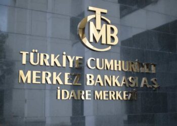 merkez bankasi ndan dovizde yeni adim